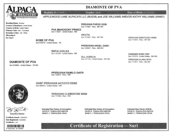 Diamonte of PVA - Image 6